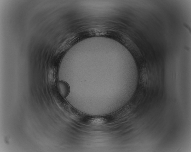 X0000101220218200807181559