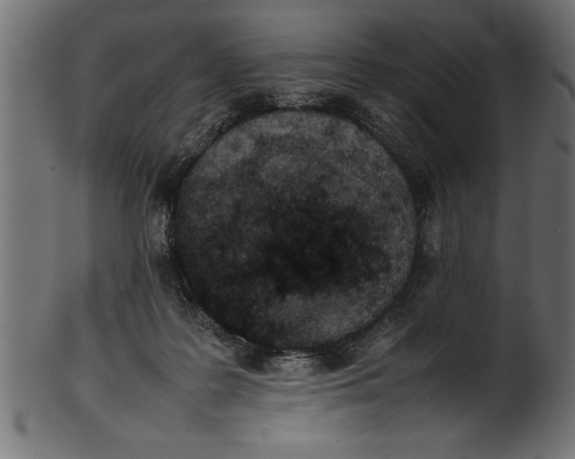 X0000101220219200807181559