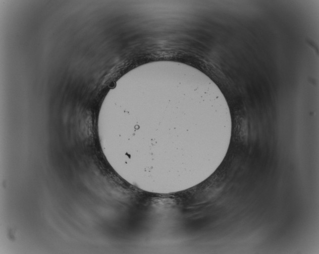 X0000101220220200807181559
