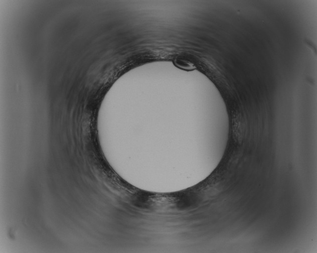 X0000101220221200807181559