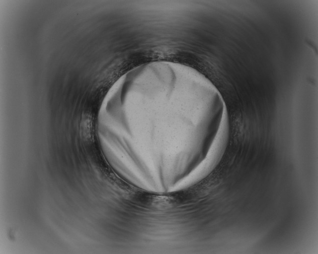 X0000101220222200807181559