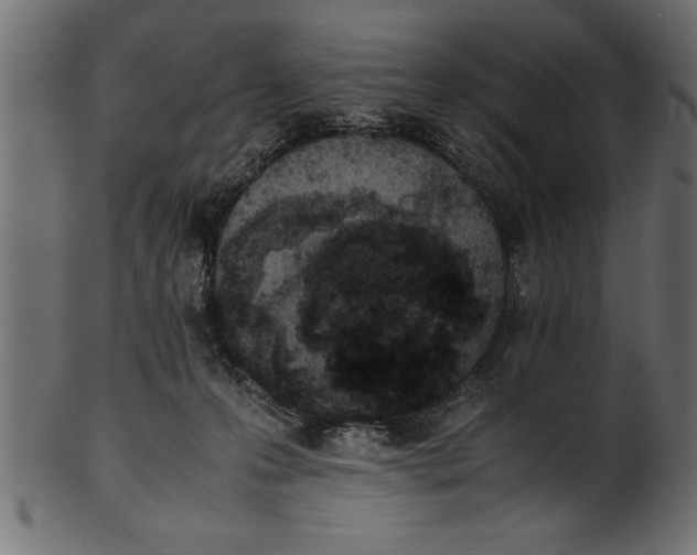 X0000101220223200807181559