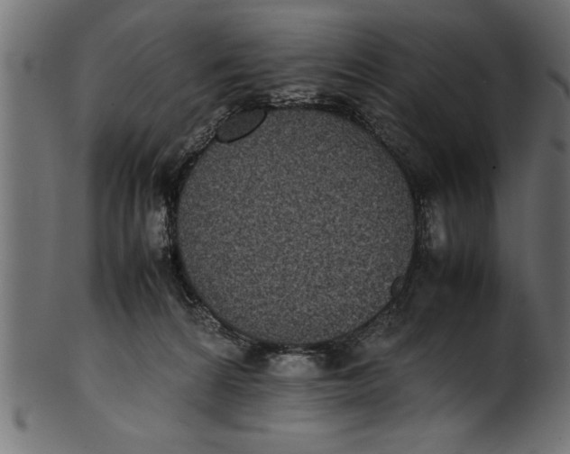 X0000101220224200807181559