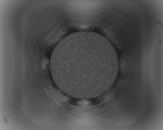 X0000101220225200807181559