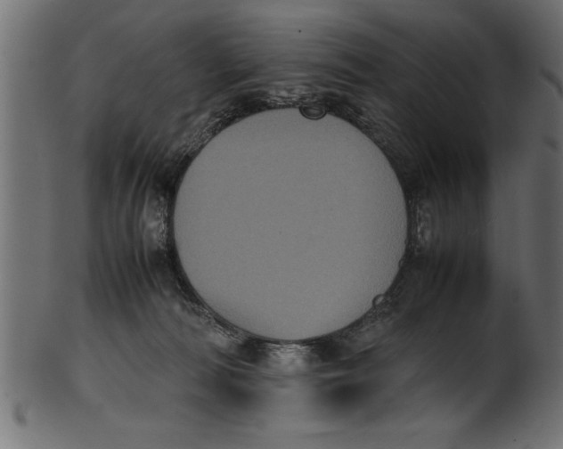 X0000101220226200807181559