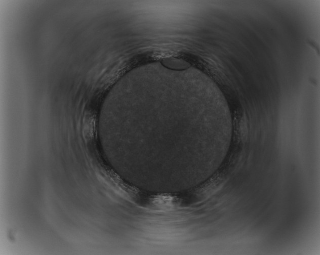 X0000101220227200807181559