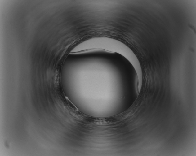 X0000101220228200807181559