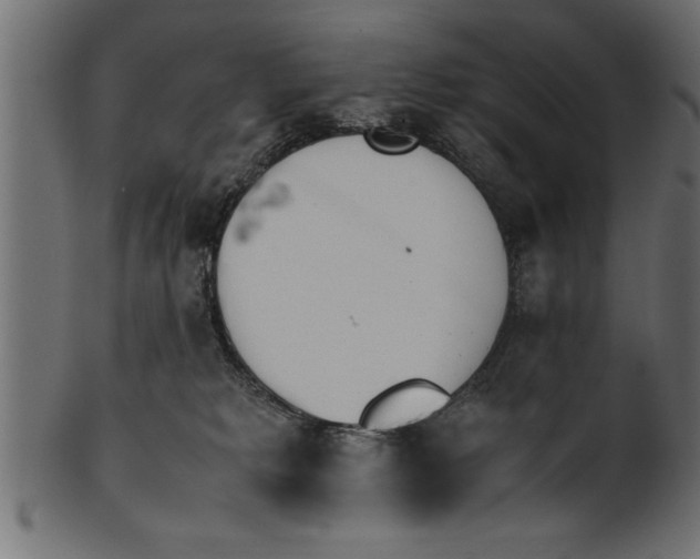 X0000101220229200807181559