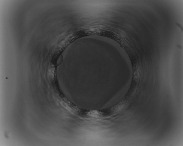 X0000101220231200807181559