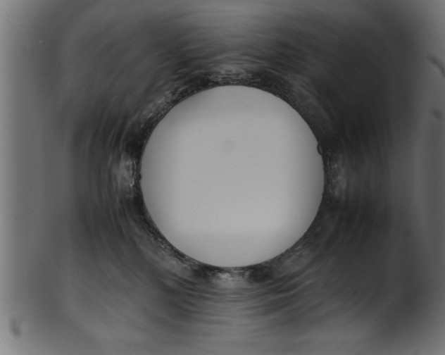 X0000101220232200807181559