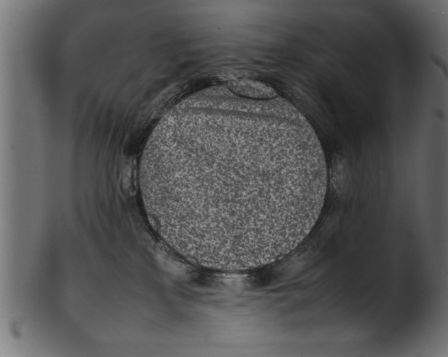 X0000101220233200807181559