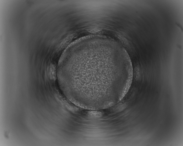 X0000101220234200807181559