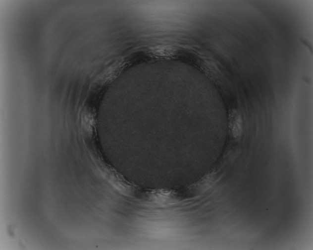 X0000101220235200807181559