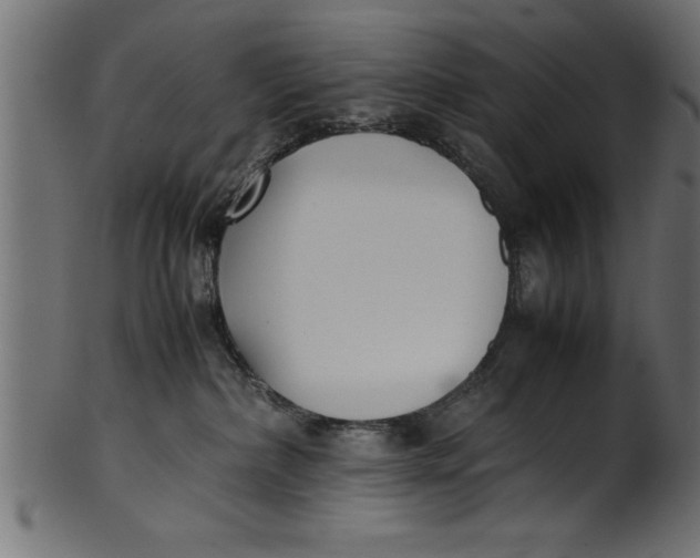 X0000101220236200807181559