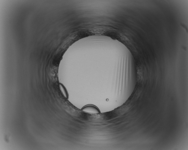 X0000101220237200807181559