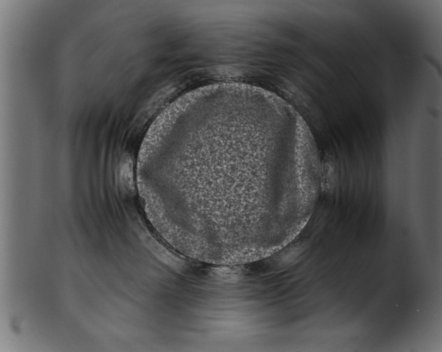 X0000101220238200807181559