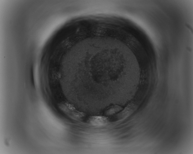 X0000101220239200807181559