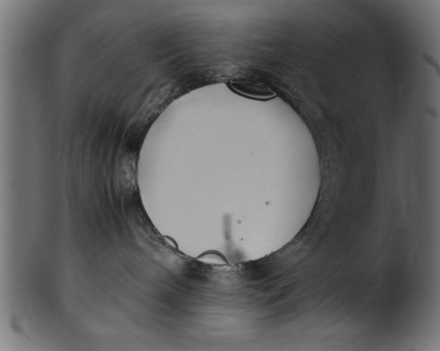 X0000101220240200807181559
