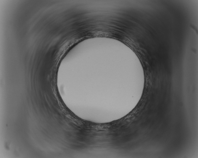 X0000101220241200807181558
