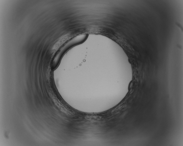 X0000101220242200807181558