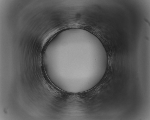 X0000101220244200807181558