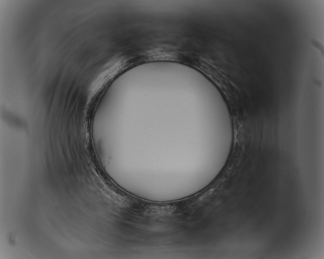 X0000101220245200807181558