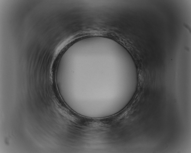 X0000101220246200807181558