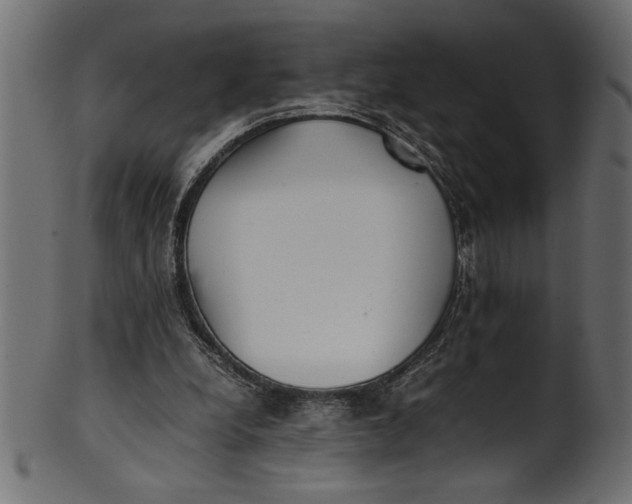 X0000101220248200807181558