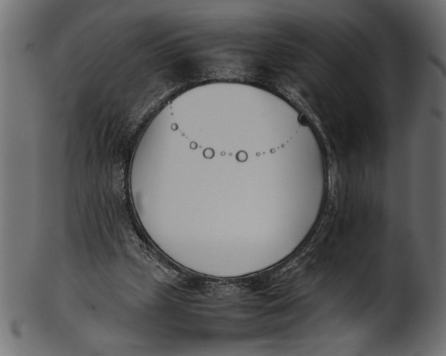 X0000101220249200807181558