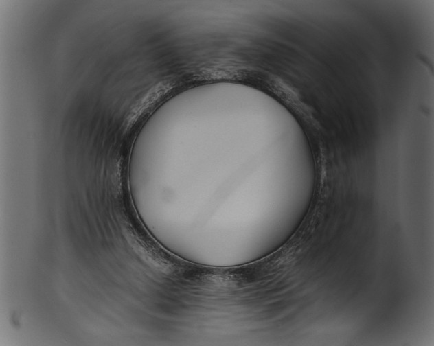 X0000101220250200807181558