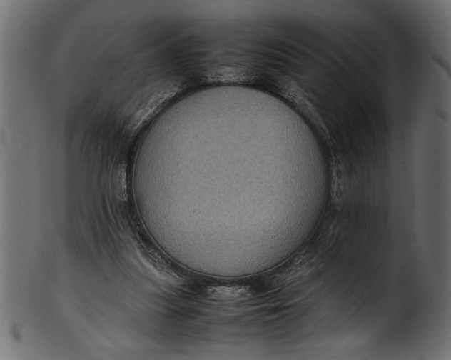X0000101220251200807181558