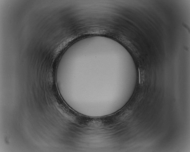 X0000101220252200807181558
