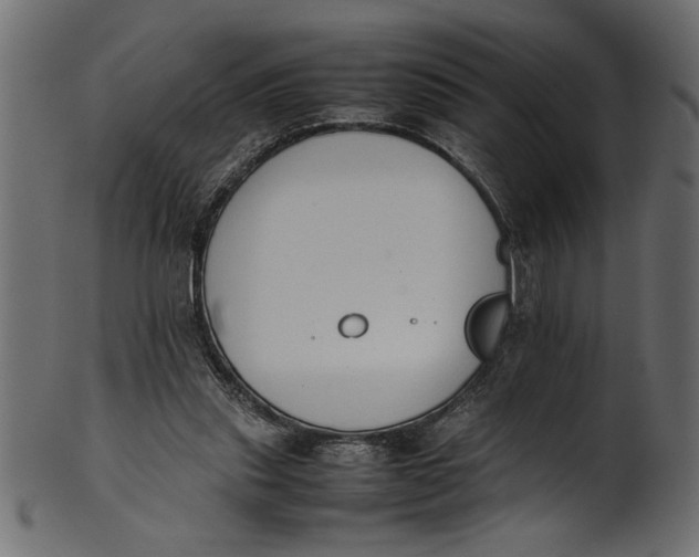 X0000101220253200807181558