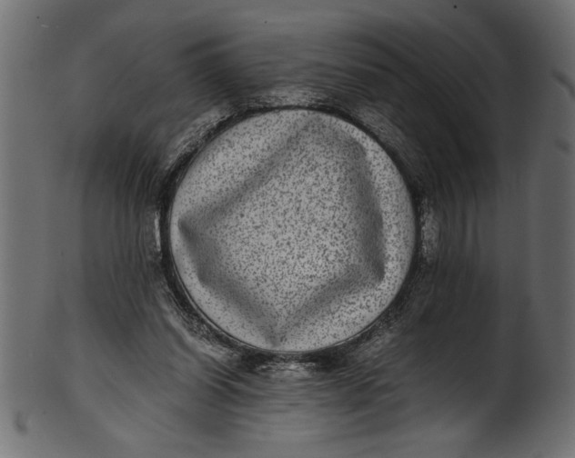 X0000101220254200807181558