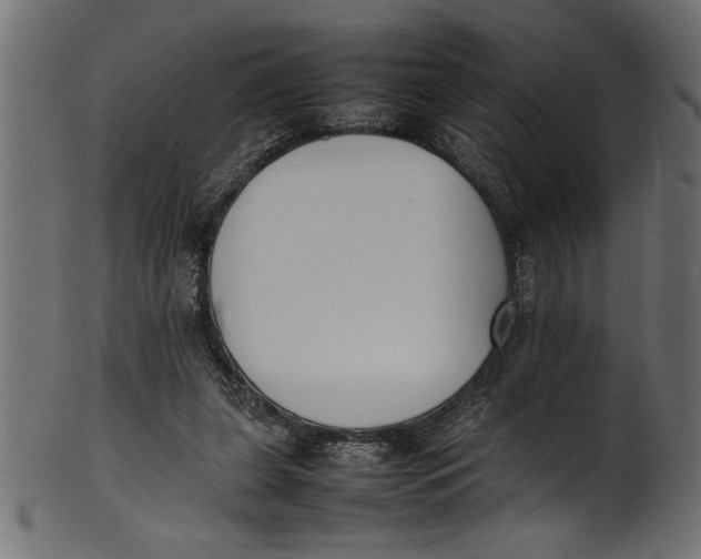 X0000101220255200807181558