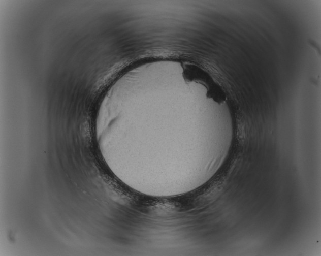 X0000101220256200807181558