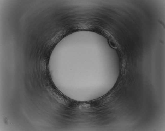 X0000101220257200807181558