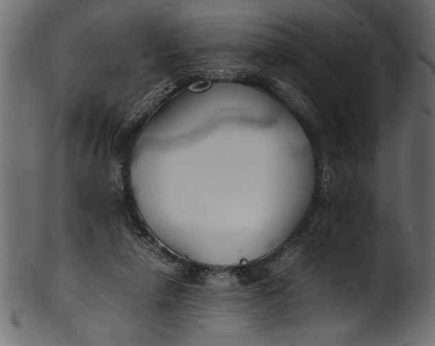 X0000101220258200807181558