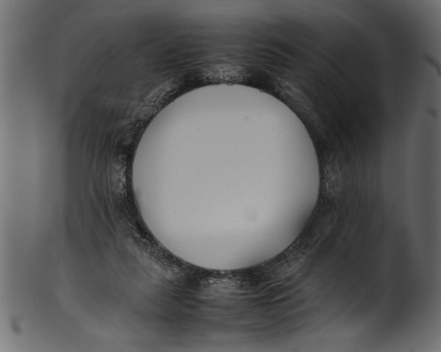 X0000101220259200807181558