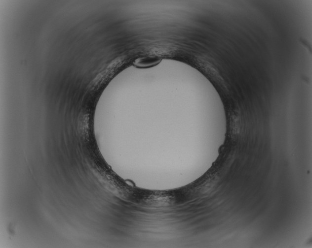 X0000101220260200807181558