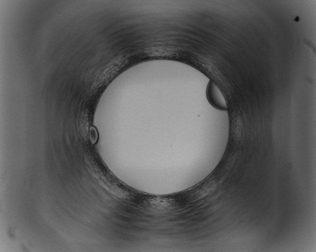 X0000101220261200807181558