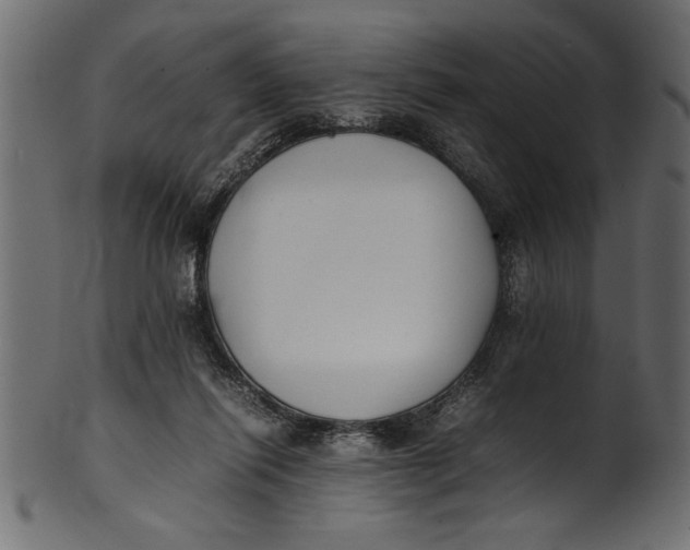 X0000101220262200807181558