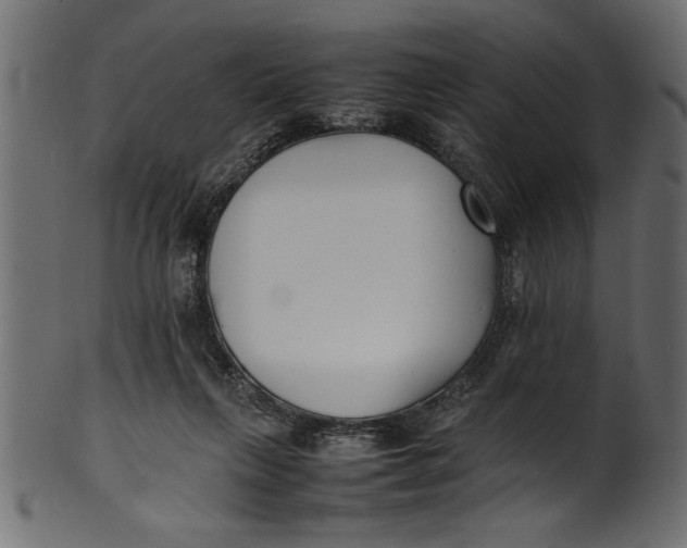 X0000101220263200807181558
