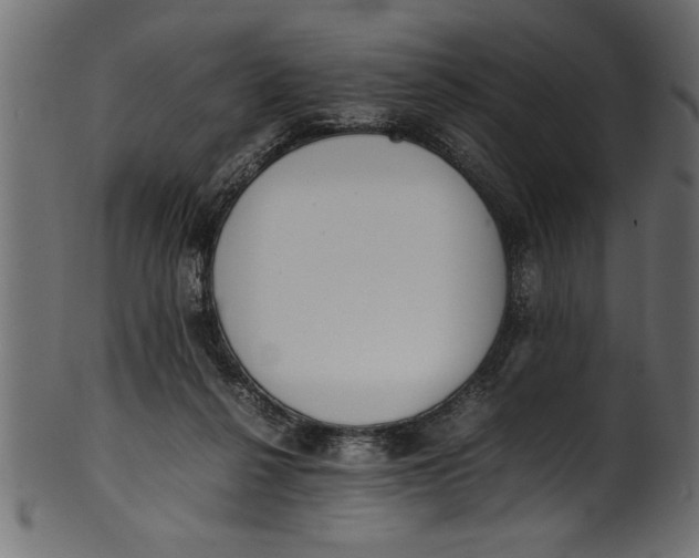 X0000101220264200807181558