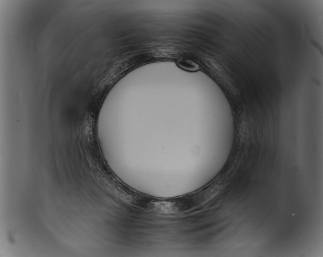 X0000101220265200807181558