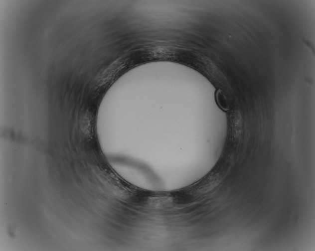 X0000101220266200807181558