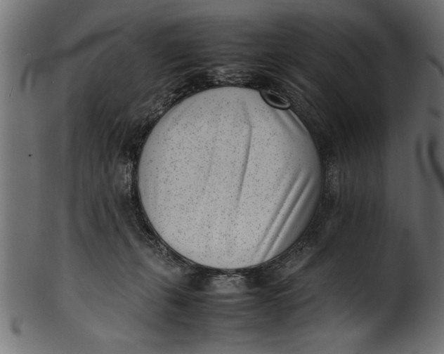 X0000101220271200807181559