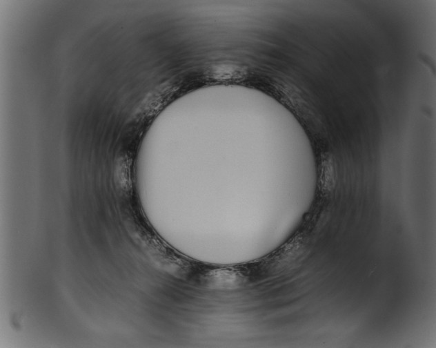X0000101220272200807181559