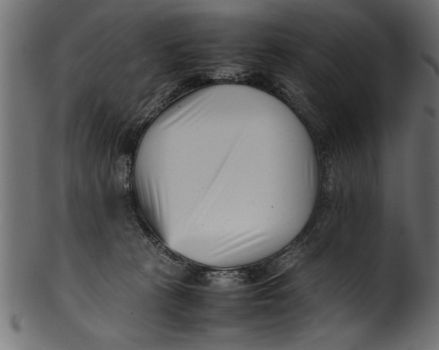 X0000101220273200807181559