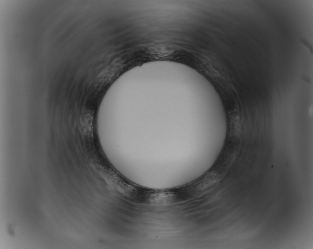 X0000101220274200807181559